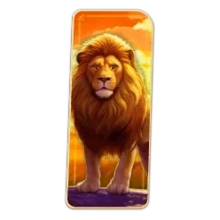 Lion
Safari